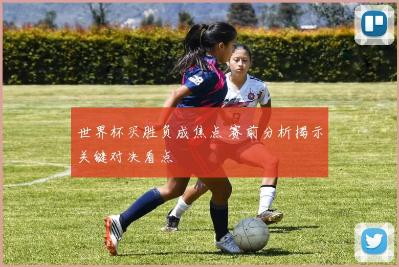 世界杯买胜负成焦点 赛前分析揭示关键对决看点